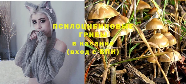 мяу мяу мука Алзамай