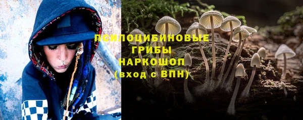 мяу мяу мука Алзамай