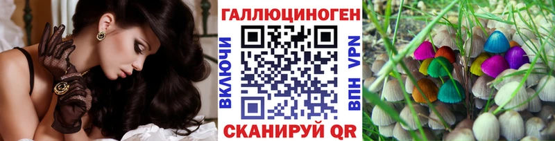 цена   Дедовск  Псилоцибиновые грибы GOLDEN TEACHER 